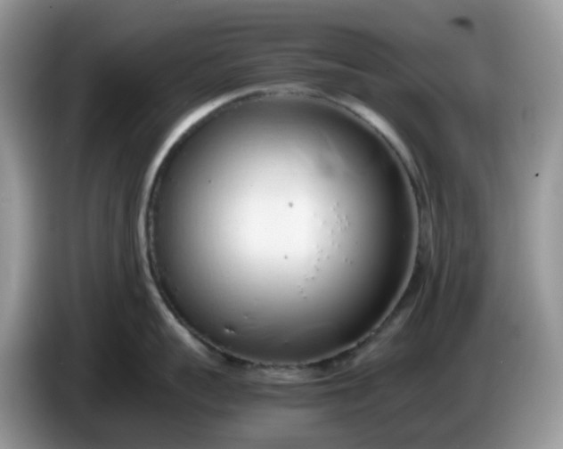 X0000086230959200704121913