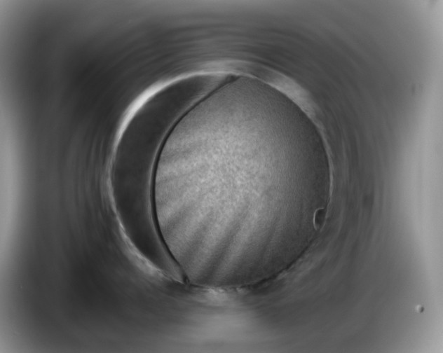 X0000086230960200704121913