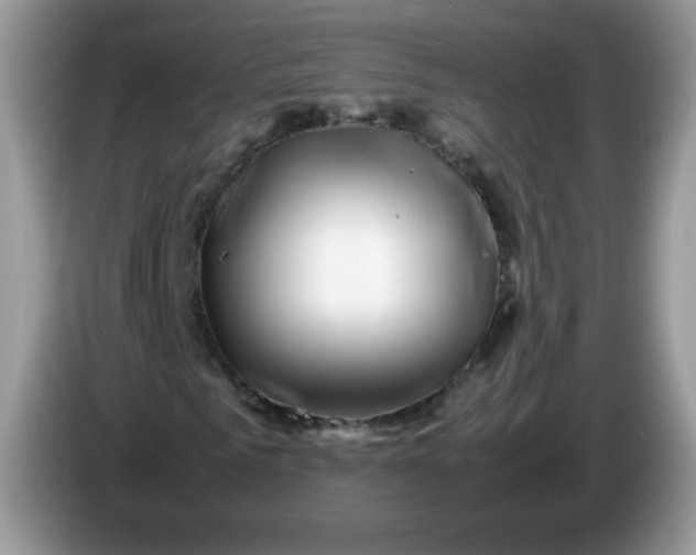 X0000086230961200704121912