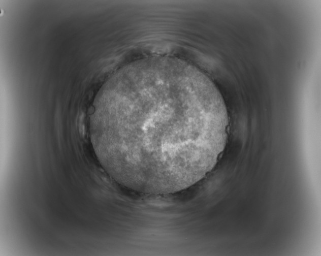 X0000086230962200704121912