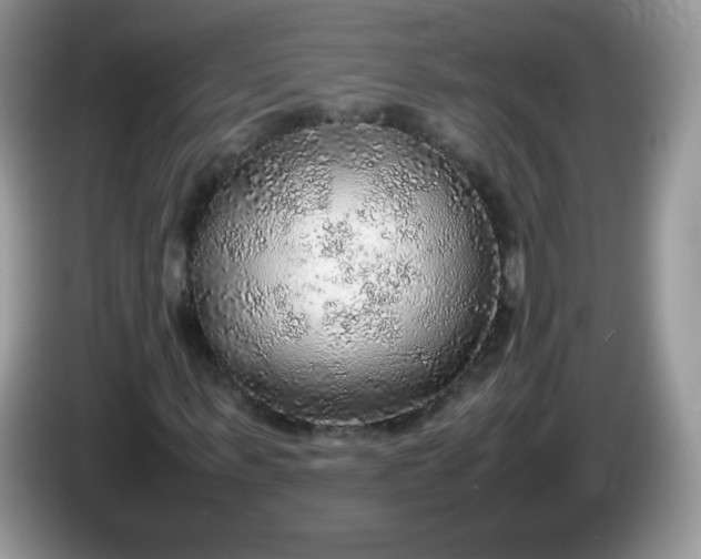 X0000086230963200704121912