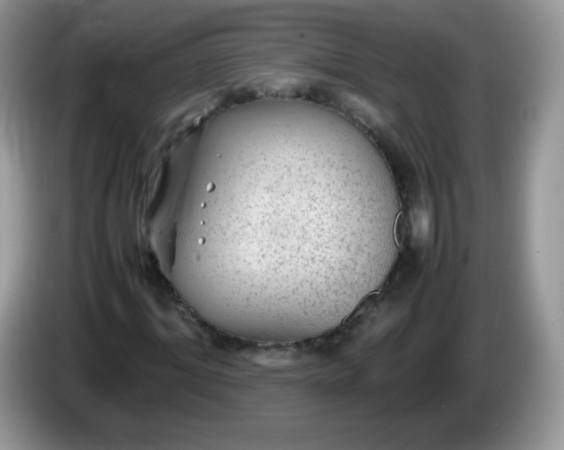 X0000086230964200704121912