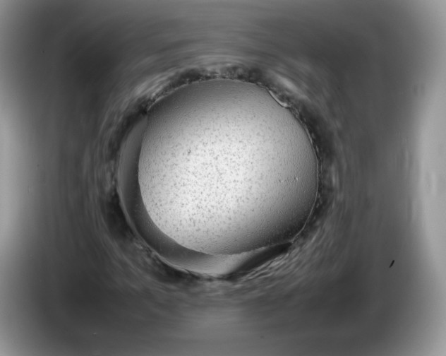 X0000086230965200704121912