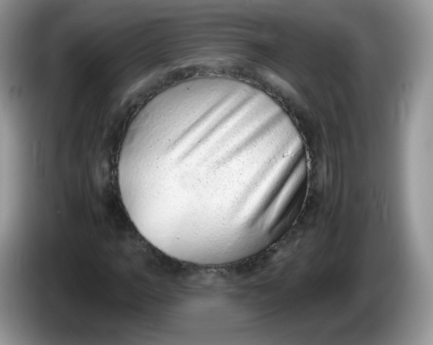 X0000086230966200704121912