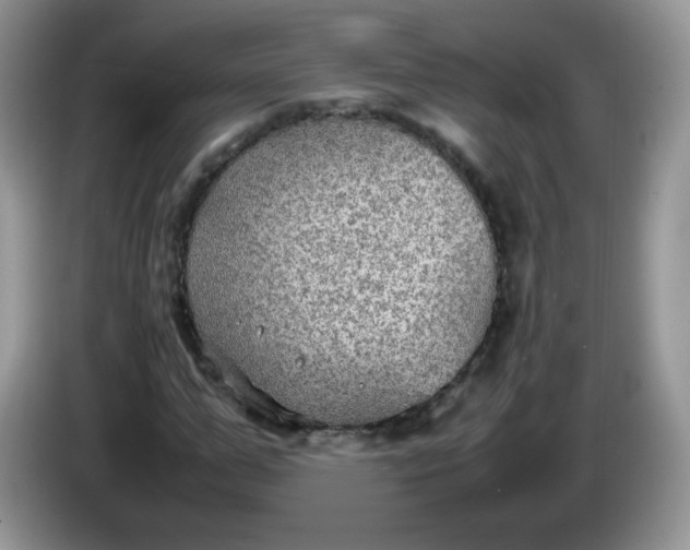 X0000086230967200704121912