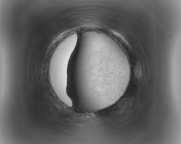 X0000086230968200704121912