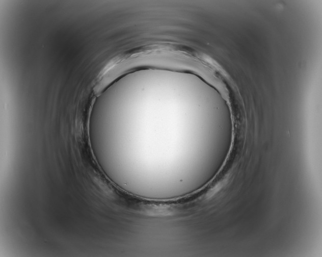 X0000086230969200704121912