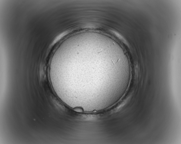 X0000086230970200704121912