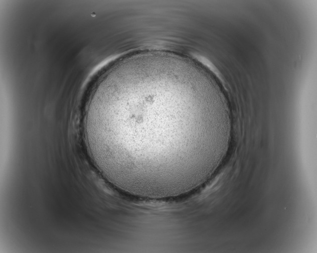 X0000086230971200704121912