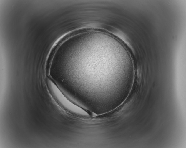 X0000086230972200704121912