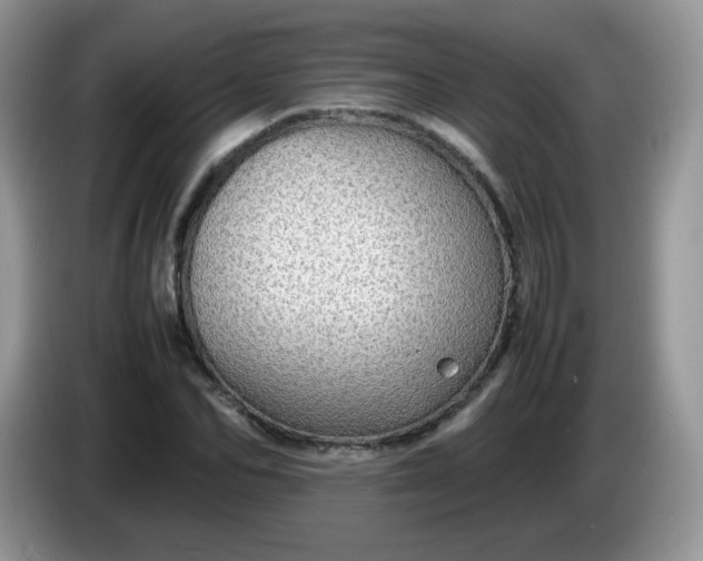 X0000086230974200704121912