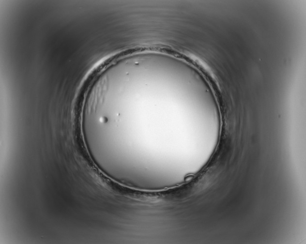 X0000086230975200704121912