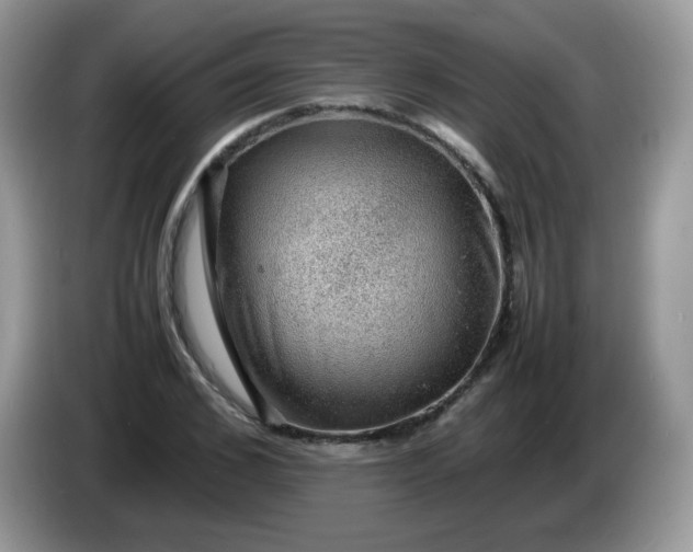 X0000086230976200704121912