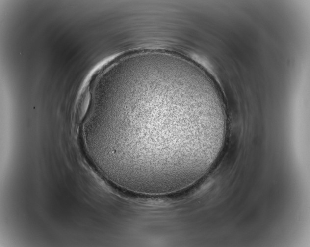 X0000086230979200704121912