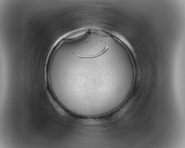 X0000086230980200704121912