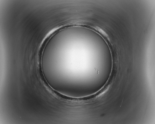 X0000086230981200704121912