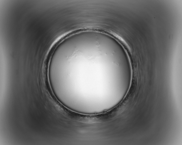 X0000086230983200704121912