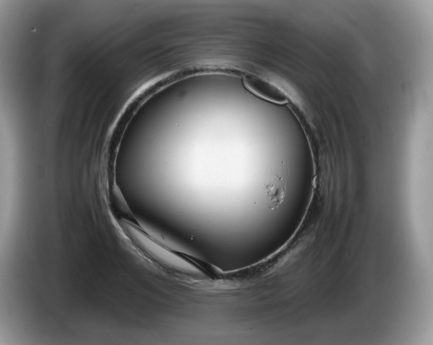 X0000086230984200704121912