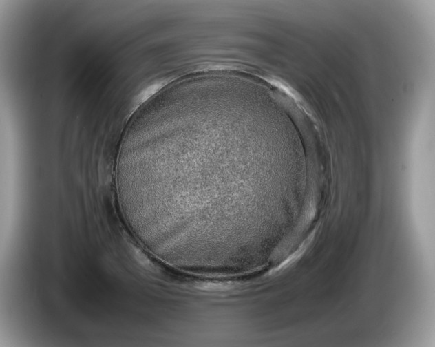 X0000086230985200704121912