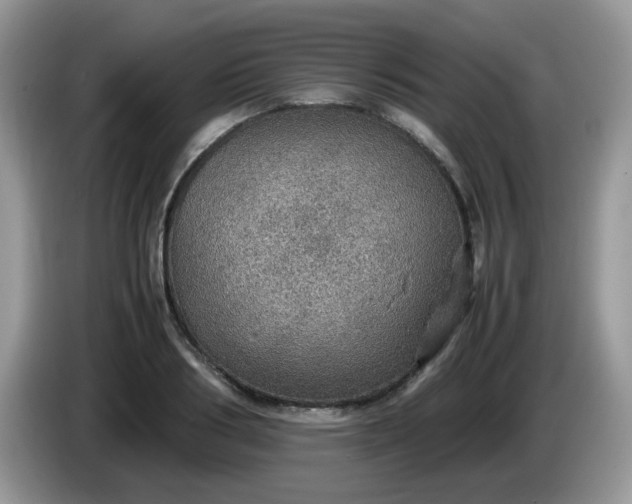 X0000086230986200704121912