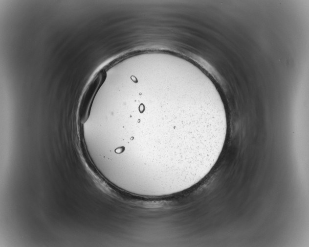 X0000086230988200704121912