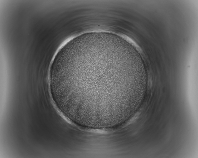 X0000086230990200704121912