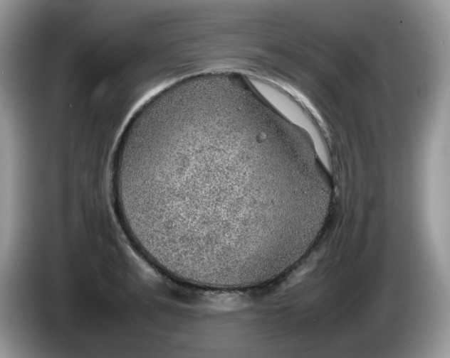 X0000086230991200704121912