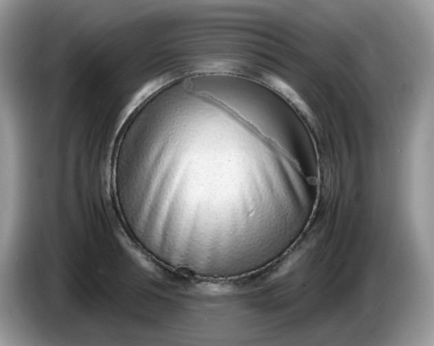 X0000086230994200704121912