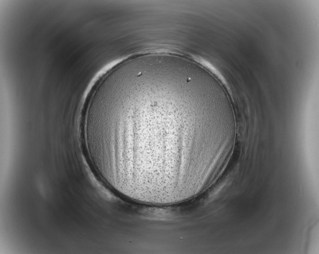 X0000086230995200704121912