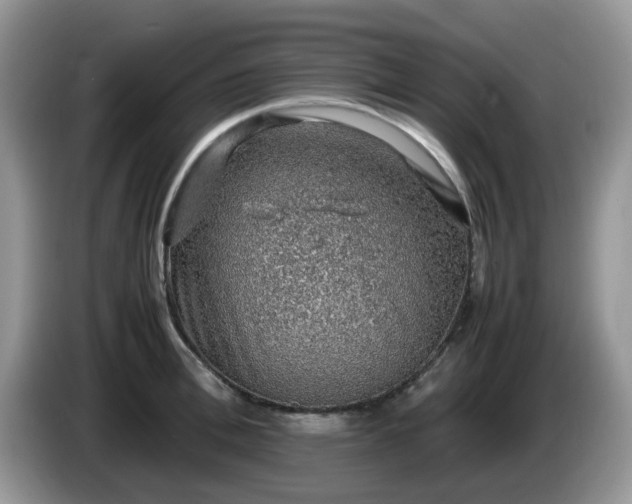 X0000086230996200704121912