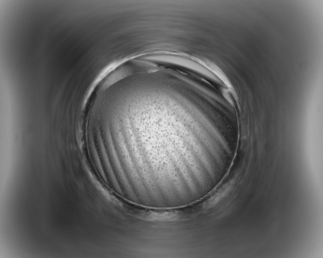 X0000086230997200704121912