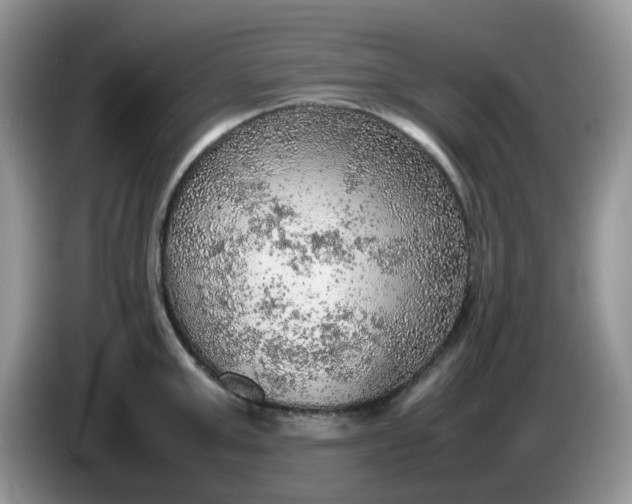 X0000086230999200704121912