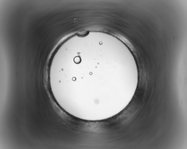 X0000086231000200704121912