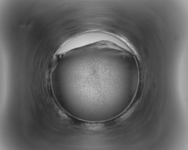 X0000086231001200704121912