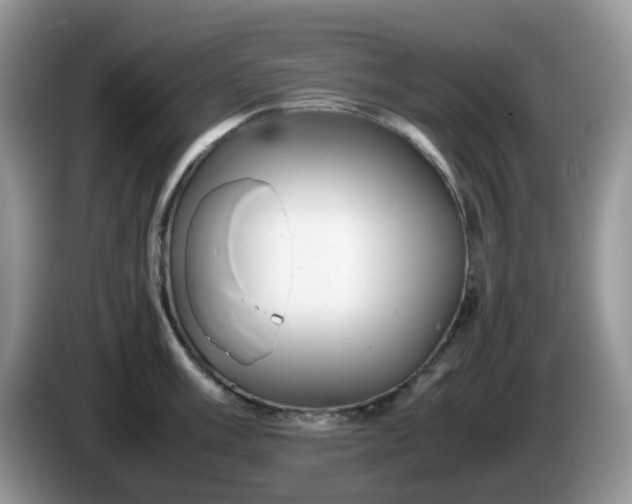 X0000086231003200704121912