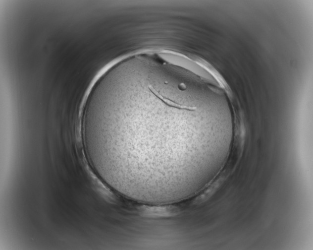 X0000086231004200704121912