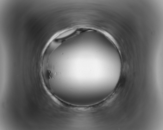 X0000086231005200704121912