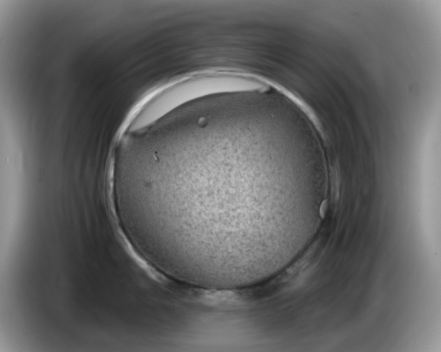 X0000086231006200704121912