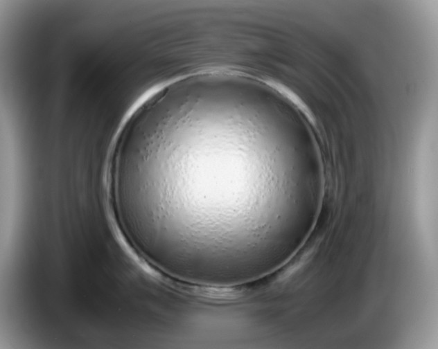 X0000086231007200704121912