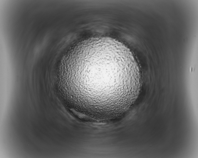 X0000086231009200704121911