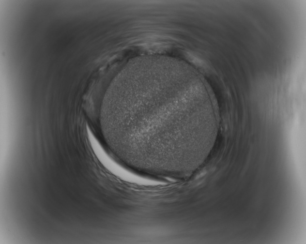 X0000086231010200704121911