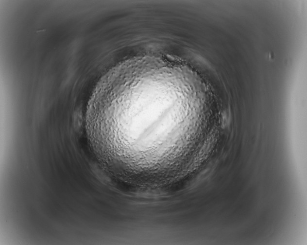 X0000086231011200704121911