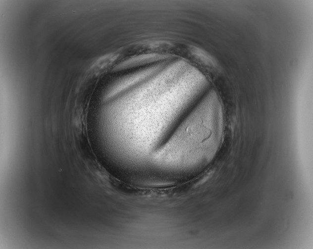 X0000086231014200704121911