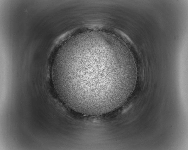 X0000086231016200704121911