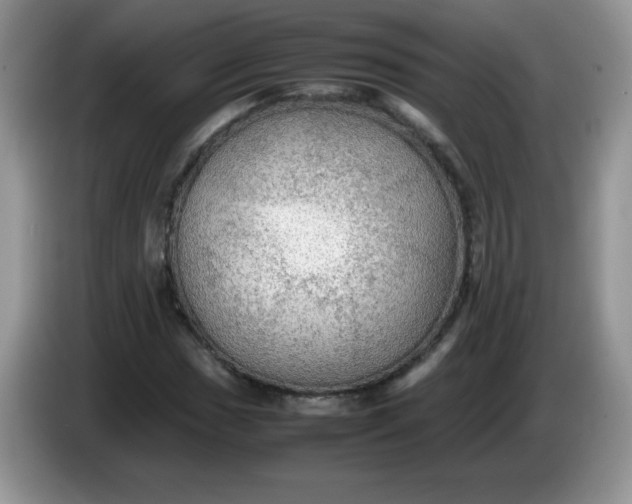 X0000086231017200704121911