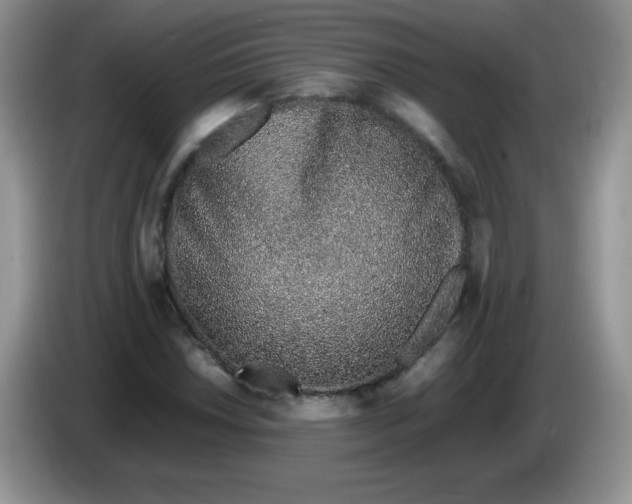 X0000086231018200704121911