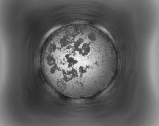 X0000086231019200704121911