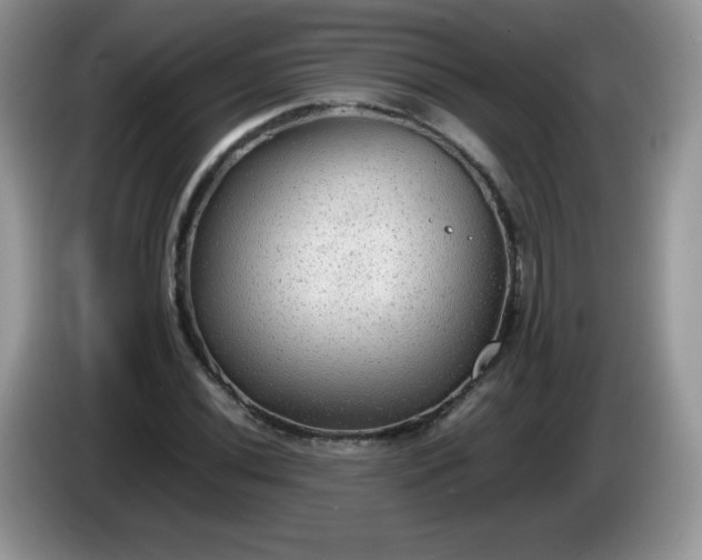 X0000086231020200704121911