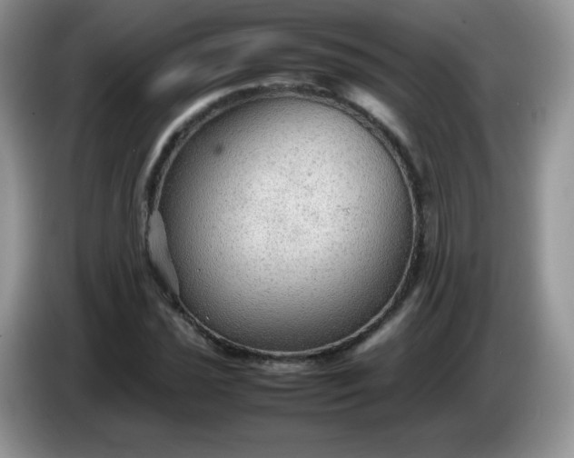 X0000086231021200704121911