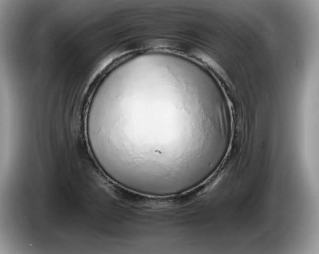 X0000086231023200704121911